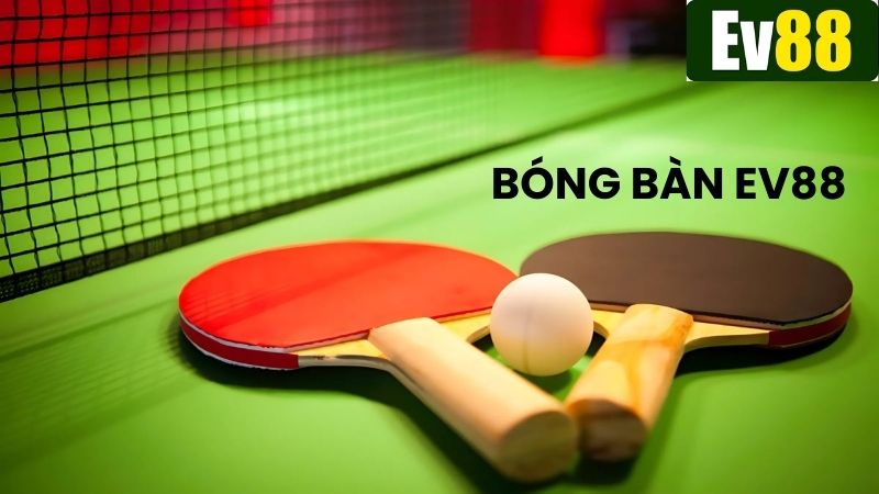 Bóng bàn Ev88 được đánh giá là bộ môn thể thao hấp dẫn