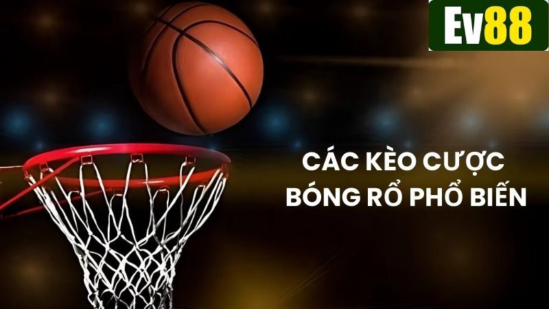 Các hình thức cá cược bóng rổ đa dạng giúp người chơi lựa chọn tùy hứng