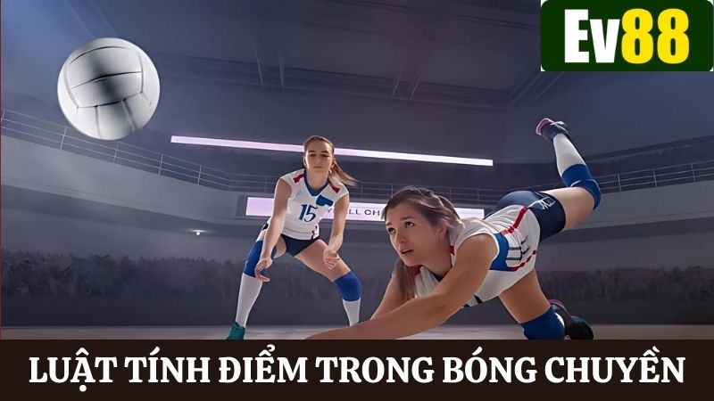 Nắm rõ cách tính điểm khi tham gia chơi cá cược bóng chuyền online