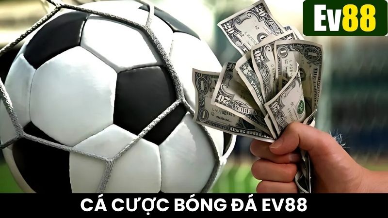 Tham gia cá cược bóng đá Ev88, xem live trực tiếp hấp dẫn