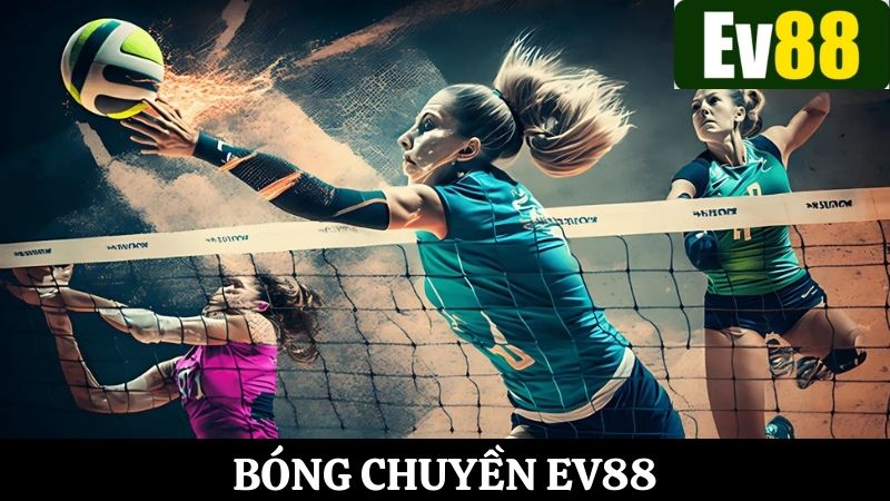 Tìm hiểu về bộ môn bóng chuyền Ev88