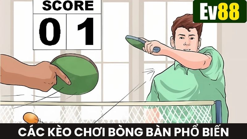 Tổng hợp các loại kèo hấp dẫn khi tham gia cá cược bóng bàn Ev88